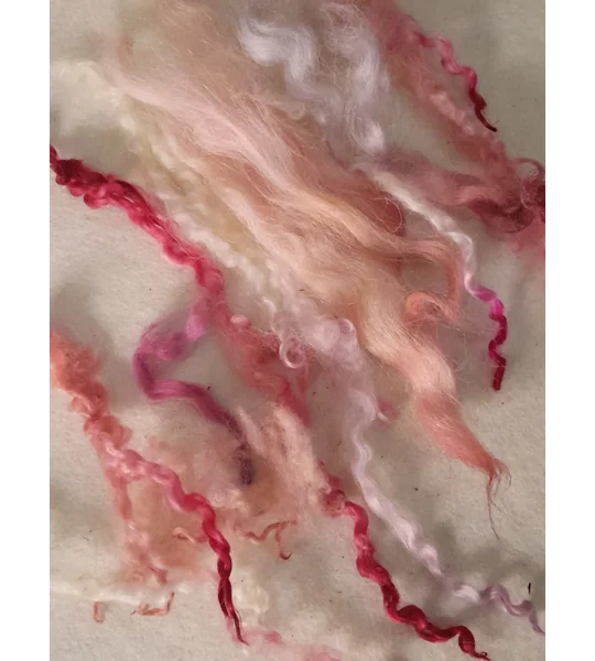 Mixed breeds curly wool, 10g pinks and reds