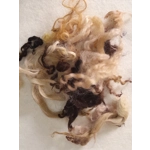 Mixed breeds curly wool, 10g Browns and Blacks Mixed breeds curly wool, 10g Browns and Blacks
