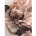 Mixed breeds curly wool, 10g Browns and Blacks Mixed breeds curly wool, 10g Browns and Blacks
