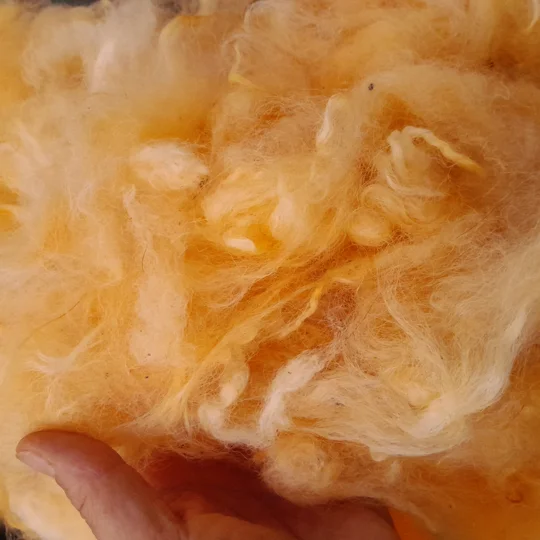 Wool Cloud - Oranges - Mule wool - Blue Faced Leicester x swaledale, hand dyed - 10g