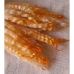 Mule - Blue Faced Leicester x swaledale, hand dyed pale orange- 10g bunch wool locks Mule - Blue Faced Leicester x swaledale, hand dyed pale orange- 10g bunch wool locks