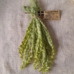 Light Apple - 10g bunch teeswater locks Light Apple - 10g bunch teeswater locks