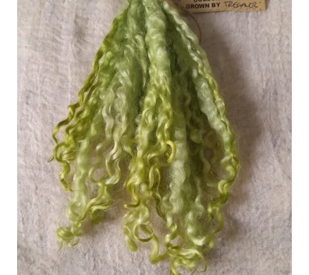 Light Apple - 10g bunch teeswater locks