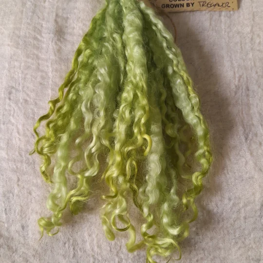 Light Apple - 10g bunch teeswater locks