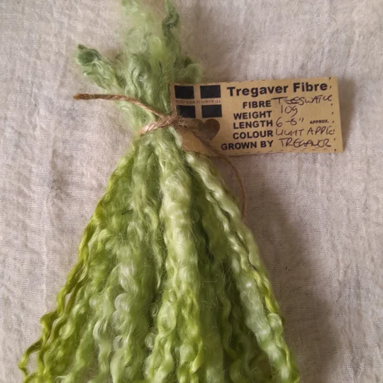 Light Apple - 10g bunch teeswater locks