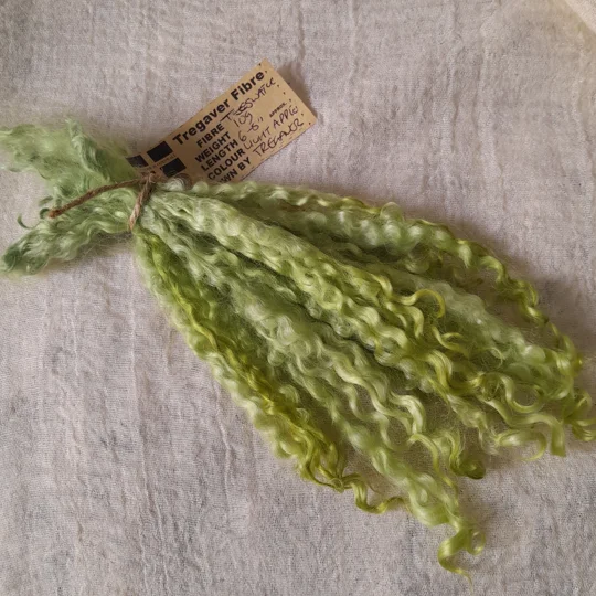 Light Apple - 10g bunch teeswater locks