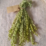 Light Apple - 10g bunch teeswater locks Light Apple - 10g bunch teeswater locks