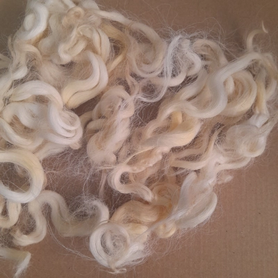 Natural undyed curly wool and locks, 10g Devon and Cornwall Longwool