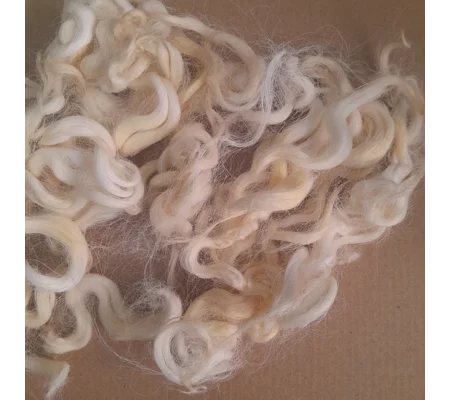 Natural undyed curly wool and locks, 10g Devon and Cornwall Longwool