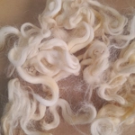 Natural undyed curly wool and locks, 10g Devon and Cornwall Longwool Natural undyed curly wool and locks, 10g Devon and Cornwall Longwool