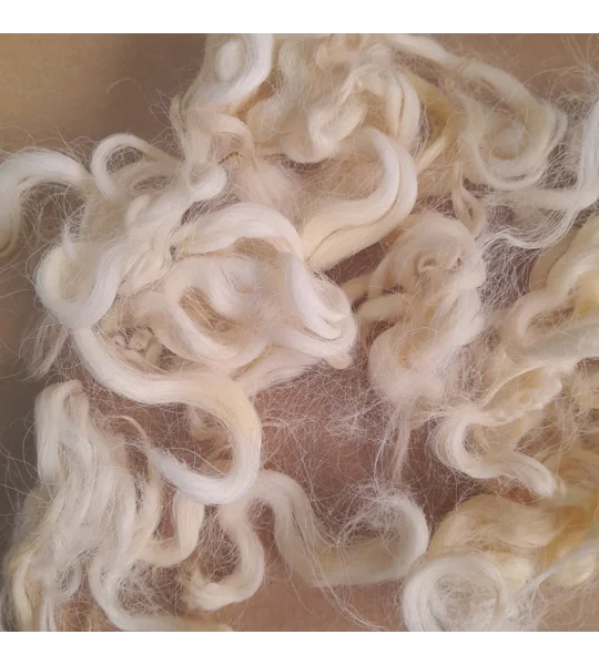 Natural undyed curly wool and locks, 10g Devon and Cornwall Longwool