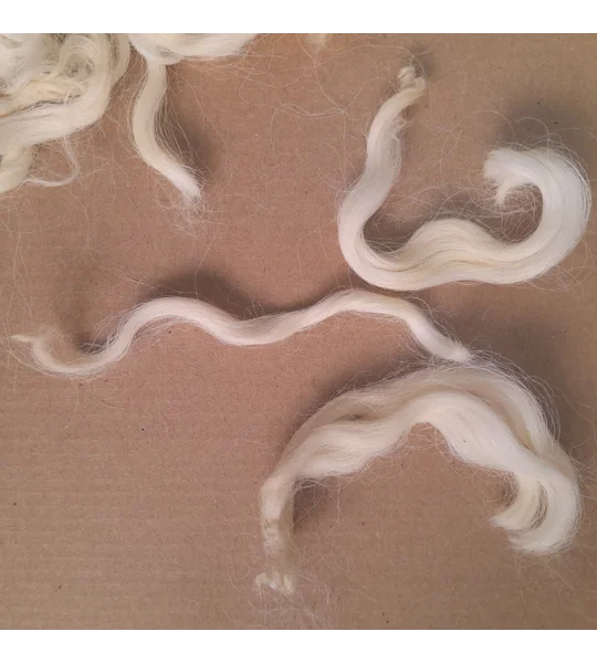 Natural undyed curly wool and locks, 10g Devon and Cornwall Longwool