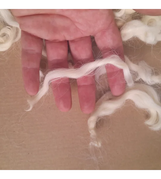 Natural undyed curly wool and locks, 10g Devon and Cornwall Longwool