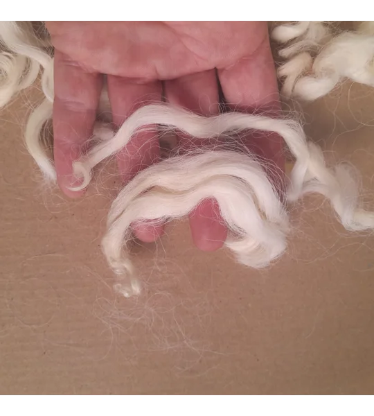 Natural undyed curly wool and locks, 10g Devon and Cornwall Longwool
