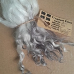 natural and silver Valais Blacknose wool locks, 10g, curly wool natural and silver Valais Blacknose wool locks, 10g, curly wool
