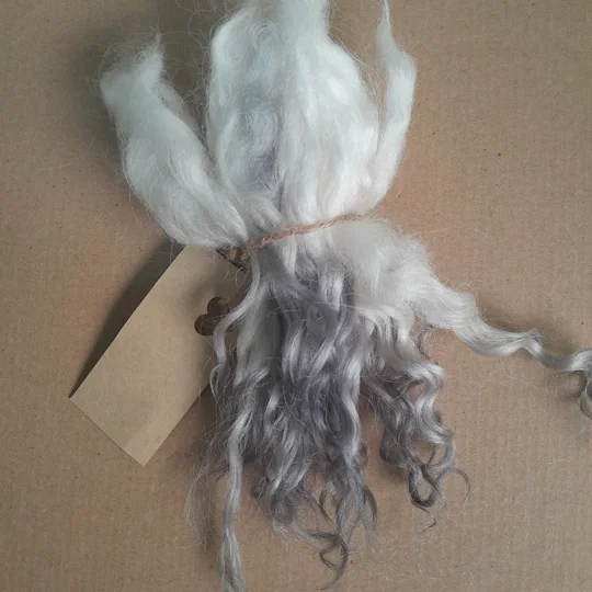 natural and silver Valais Blacknose wool locks, 10g, curly wool