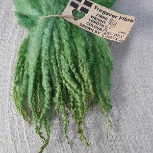 Fern Green Mix  Blue Faced Leicester wool locks 10g