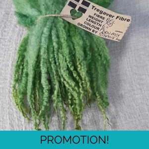 Fern Green Mix  Blue Faced Leicester wool locks 10g