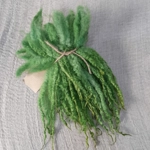 Fern Green Mix Blue Faced Leicester wool locks 10g Fern Green Mix Blue Faced Leicester wool locks 10g