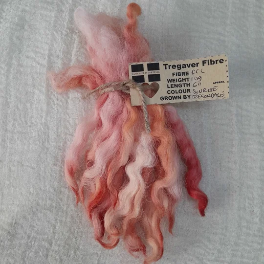 Sunrise pink and orange Devon and Cornwall Longwool, wool locks10g