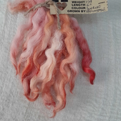 Sunrise pink and orange Devon and Cornwall Longwool, wool locks10g