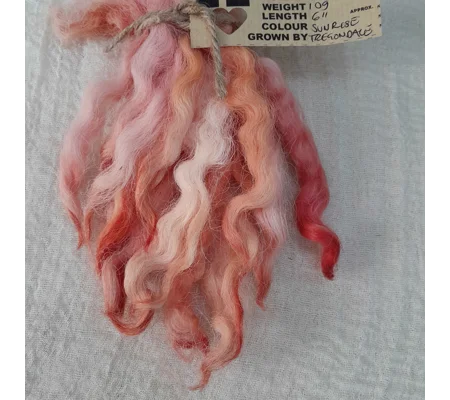 Sunrise pink and orange Devon and Cornwall Longwool, wool locks10g