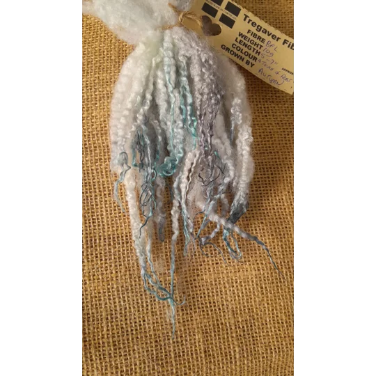 A touch of frost, silver and blue Blue Faced Leicester wool locks 10g