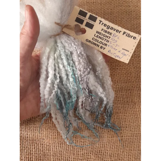 A touch of frost, silver and blue Blue Faced Leicester wool locks 10g