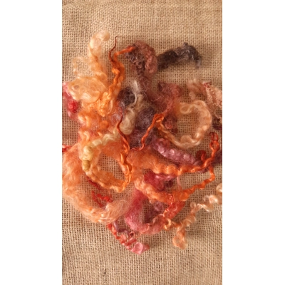 Mixed breeds curly wool, "Autumn Locks" 10g