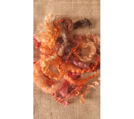 Mixed breeds curly wool, "Autumn Locks" 10g