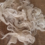 suri alpaca fibre, natural undyed white/cream perfect for beards suri alpaca fibre, natural undyed white/cream perfect for beards
