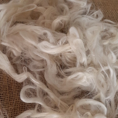 suri alpaca fibre, natural undyed white/cream perfect for beards