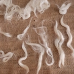 suri alpaca fibre, natural undyed white/cream perfect for beards suri alpaca fibre, natural undyed white/cream perfect for beards