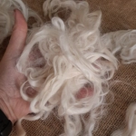 suri alpaca fibre, natural undyed white/cream perfect for beards suri alpaca fibre, natural undyed white/cream perfect for beards
