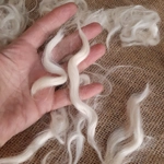 suri alpaca fibre, natural undyed white/cream perfect for beards suri alpaca fibre, natural undyed white/cream perfect for beards