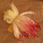 Mule - Blue Faced Leicester x swaledale, hand dyed pale yellow and pink dip- 10g bunch wool locks Mule - Blue Faced Leicester x swaledale, hand dyed pale yellow and pink dip- 10g bunch wool locks