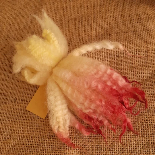 Mule - Blue Faced Leicester x swaledale, hand dyed pale yellow and pink dip- 10g bunch wool locks