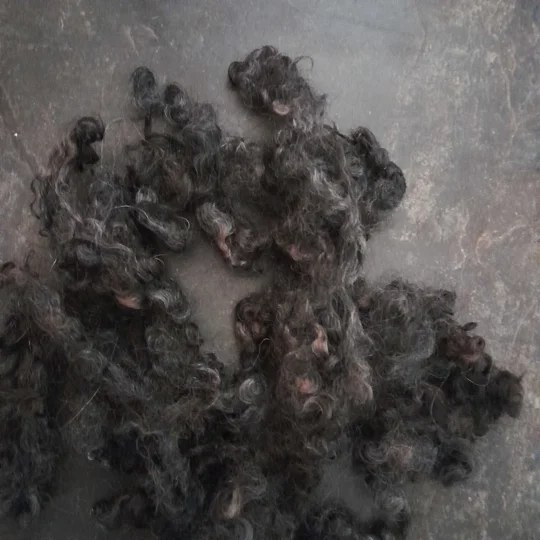 black curly wool, grey curly wool, brown curly wool, needle felting wool