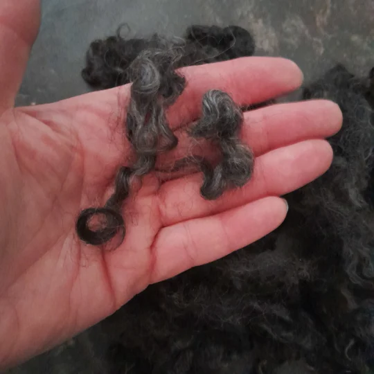 black curly wool, grey curly wool, brown curly wool, needle felting wool