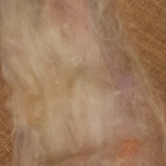 Pastel Rainbow, Carded Art Batt 30g Pastel Rainbow, Carded Art Batt 30g