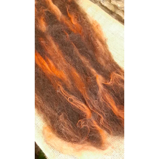 Black Brown and Orange Carded Art Batt 30g with 10g bunch of orange teeswater locks
