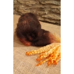 Black Brown and Orange Carded Art Batt 30g with 10g bunch of orange teeswater locks Black Brown and Orange Carded Art Batt 30g with 10g bunch of orange teeswater locks