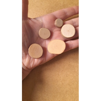Set of 5 miniature small rustic wood slices Set of 5 miniature small rustic wood slices