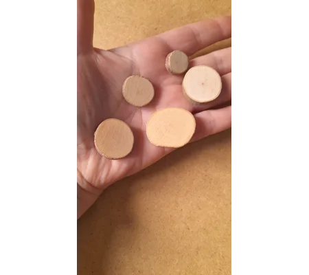 Set of 5 miniature small rustic wood slices
