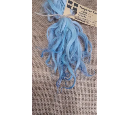 Polar Blue wavy wool locks, Devon and Cornwall Longwool
