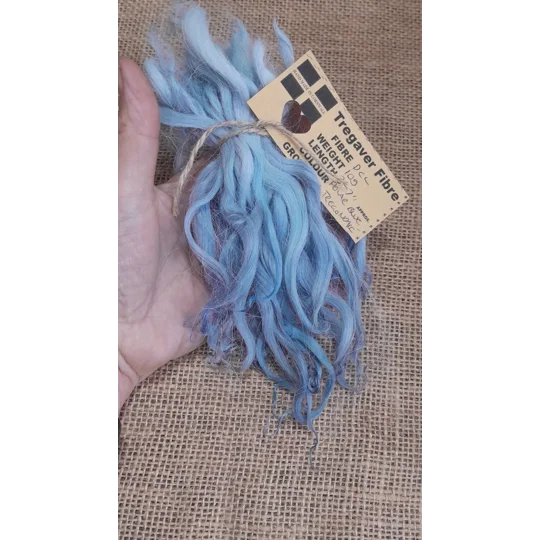 Polar Blue wavy wool locks, Devon and Cornwall Longwool