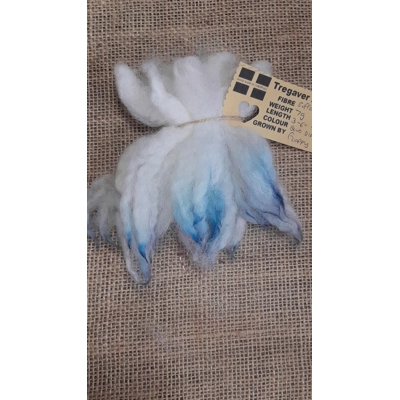 Cream and white wavy wool locks dip dyed in blue and silver Suffolk sheep locks Cream and white wavy wool locks dip dyed in blue and silver Suffolk sheep locks