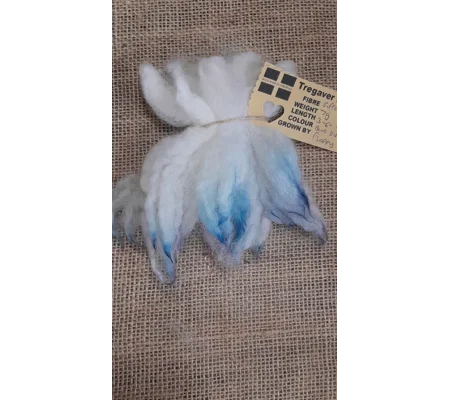 Cream and white wavy wool locks dip dyed in blue and silver Suffolk sheep locks