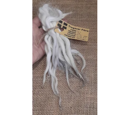 Silver dip wavy wool locks, Devon and Cornwall Longwool 7g