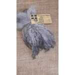 Silver wavy wool locks teeswater cross sheep locks Silver wavy wool locks teeswater cross sheep locks